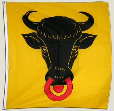 Bandiera Svizzera Cantone Uri – 120 x 120 cm [Misc.]