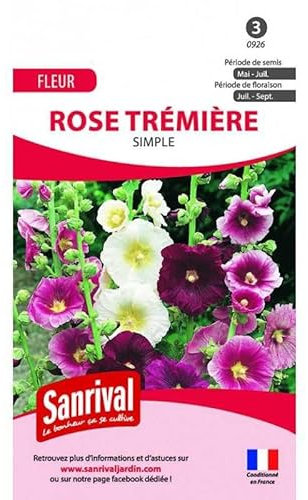 Graines Rose Trémière Simple