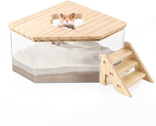 Lucxhcky Bac de bain de sable pour hamster, gerbille, sable, hamster, bac à litière pour hamster, chinchilla, accessoires de bain pour hamster (pentagon+échelle) (salle de bain + échelle)
