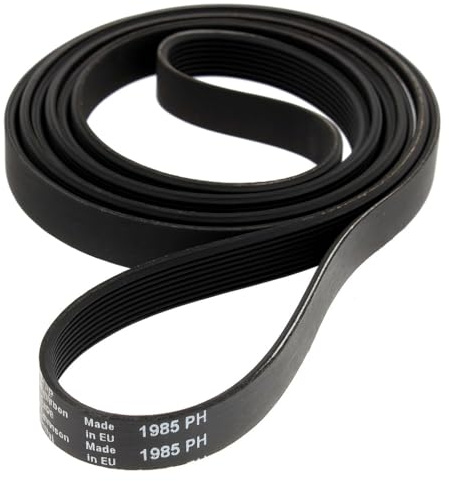 Courroie Poly-V H8 1985mm pour Sèche-linge, 8 Dents, Fabriqué en Europe