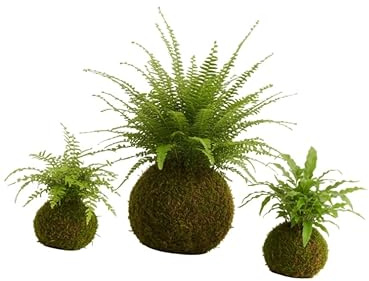 DECOALIVE Kokedama Artesanal de Helecho Espada – Planta Viva de Interior con Musgo Natural