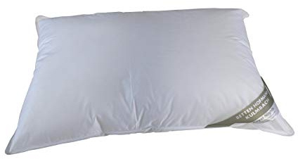Betten Hofmann Bella Star Kopfkissen 65x100 Federkissen Kissen 20% Daunen 1200g strapazierfähig