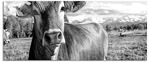 Pixxprint Glasbild Panorama, Wandbild aus Echtglas, Neugierige Kuh auf Weide im Allgäu, Monochrome, 100x40 cm, inkl. Aufhängung und Abstandshalter