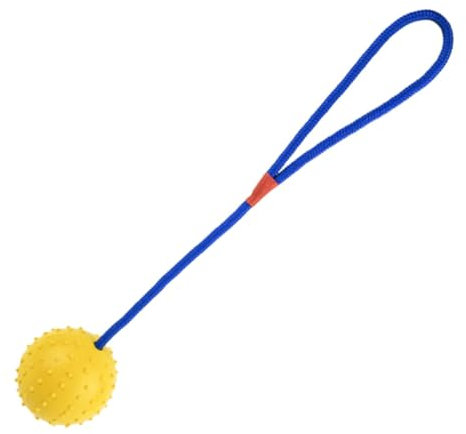 BESPORTBLE Haustierspielzeugball Welpenbälle Outdoor Hundebälle Kleines Hundespielzeug Welpenspielzeug Lustige Hundebälle Ball Für Hunde Draußen Hundespielzeug Hundegummispielzeug
