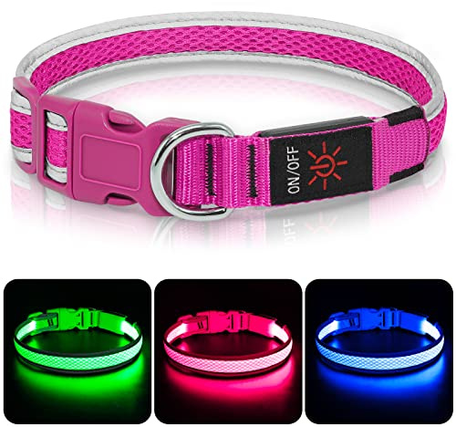 Colaseeme leuchthalsband Hund aufladbar, USB-C, wasserdicht, rosa M | 3 Leuchtmodi hundehalsband leuchtend, Sicherheit bei Nacht, Akku langlebig verstellbar regenfest, Gassi Outdoor