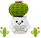 LUHOCIY Positive Peluche, Peluche Doll, Regali Divertenti Ma Utili Peluche Positivo, Decorazioni per Regalo Donna Compleanno, Regalo Uomo, Eegalo Amica, Regalo collega, Regali Coppia (Cactus)