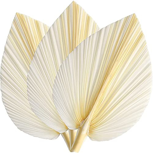Nihcora Hojas de Palma Secas Blancas Grandes 3 Piezas Elegante y Moderno Boho DecoracióN para el Hogar y la Boda - Arte de la Pared