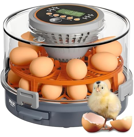 2026 Upgrade Brutautomat, 12/20 Eier Vollautomatische Brutmaschine mit automatischem Eierwenden, Präzise Temperatur- & Feuchtigkeitskontrolle und Schierlampe, Für Huhn Ente Gans Taube Wachtel