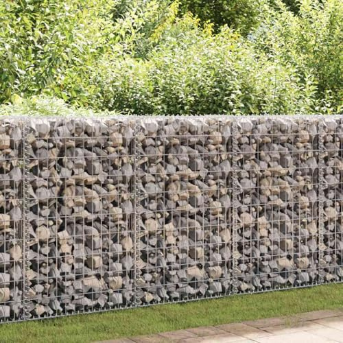 Myheimly Gabione,Steinkorb Steingabionen Drahtkorb Mauer Säule Wand, Drahtkorb für Außenbereich, Gabionenkorb Steingabione, Verzinktes Eisen Gabione 600 x 30 x 100 cm