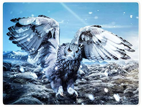 YISUMEI Decke 150x200 cm Kuscheldecken Sanft Flanell Weich Fleecedecke Bettüberwurf Schneewittchen Eule