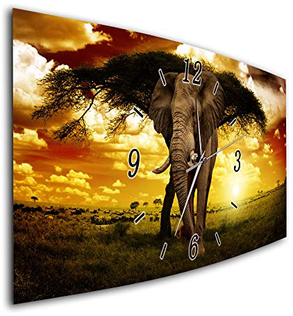 BM Funk Quarz Wanduhr Funkwanduhr Funkwanduhren Funkuhr Funkuhren kein Ticken lautlos geräuschlos leise modern ohne Tickgeräusche groÃŸ XXL Wohnzimmer Küche Wildnis Afrika Elefant 9181-1a