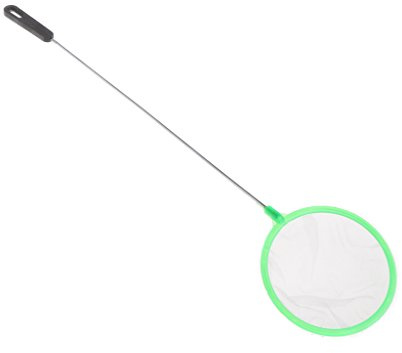 Épuisette pour aquarium 7,6 cm, 11,4 cm, filtre écumoire en maille fine pour petits poissons pour aquarium avec poignée confortable pour petit aquarium