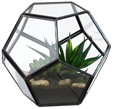 Relaxdays Terrario Piante, Mini Serra in Vetro e Zinco, HLP 12x14x14 cm, Piantine Grasse, Vaso Ecosistema Aperto, Nero