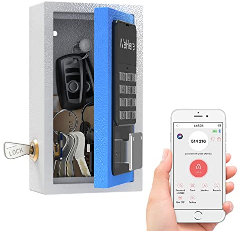 WeHere Key Lock Box Wall Mount, OTP/Fixed Password, APP Bluetooth/Wi-Fi, Spare Key Unlock, Porch Smart LockBox, Combination Keybox for Home, Realtors, Apartments, Garage, Store, Office