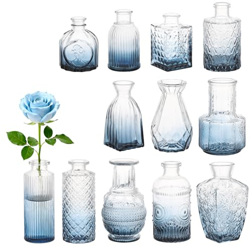 Segus Vasen Set, 12 Stück Kleine Glasvasen für Tischdeko, Mini Vasen Vintage Verschiedene, für Hochzeitsdekoration, Geburtstag, Party (Blauverlauf)