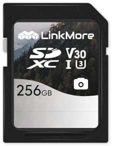 LinkMore - Tarjeta de memoria SDXC de 256 GB, tarjeta SD UHS-I U3 V30, clase 10, lectura de hasta 95 MB/s, escritura de hasta 60 MB/s, para cámara, videocámara y ordenador (Mist SD3C)