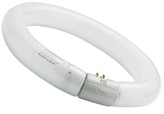 SYLVANIA T9 Leuchtstoff-Lampe, G10q Sockel, 40 Watt / 3200 Lumen entspr. ca: 40 Watt, Warm White (3000K), 16000h Lebensdauer, Ring Form, 29mm Durchmesser, Weißer Kolben, dimmbar, 1er Pack