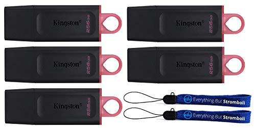 Kingston 256GB USB Flash Drive Exodia DataTraveler (Bulk 5 Pack) USB 3.2 Type-A Drives 100MB/s High Speed PenDrives for Computer or Laptop (DTX/256GB) Bundle with (2) Everything But Stromboli Lanyards