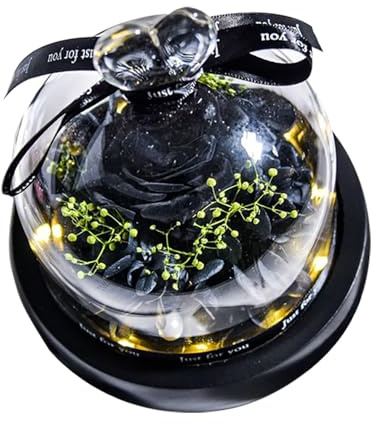 Rose vere conservate con luce LED fiori eterni rosa per mamma, nonna, moglie, per festa della mamma, compleanno, San Valentino, Natale e Ringraziamento. Rose conservate in scatola 2002 Natale (nero