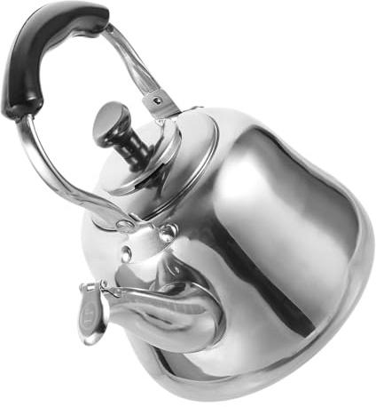 Tetera de Acero Inoxidable Silbante, 1, Plata con Filtro