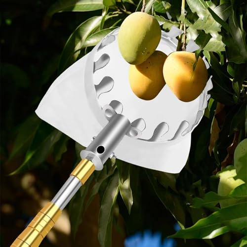 Cueille Fruit Telescopique en Acier Inoxydable avec Panier, Outil Pratique for la Récolte Poires, Citrons, Oranges et Abricots