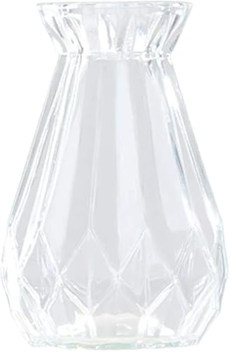 Macetas, macetas de interior, jarrón, maceta.1 jarrón de cristal de jacinto, cristal de jacinto, jarrones de flores transparentes, for decoración de plantas suculentas/sistemas de aire (14,5 x 8 cm, r