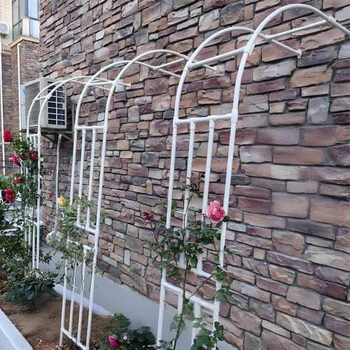 Halbbogen für Kletterpflanzen Gartenbogen Rankhilfe Stahl Torbogen Garten Pergola Rankgitter witterungsbeständig für Freien Hof Patio schwarz Weiß(Weiß,60x240cm)