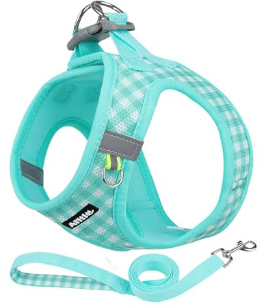 AIITLE Step-in-Hundegeschirr Set verstellbar Mesh, Türkis M | Reflektorstreifen, atmungsaktiv, Karomuster, für Welpen & Katzen, Training, Spazieren, Laufen, Leine inklusive