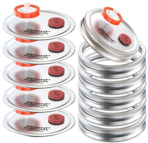 6 x große Öffnung Flüssigkeitskulturdeckel SplitTyp GetreideSpachtelanbau EinmachglasDeckel mit 022 um PTFESpritzenfilter und 20 mm selbstheilende Injektionsanschlüsse für Pilzwachstum (Silber)