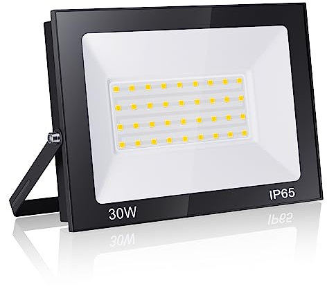 Royana 30W Faretto LED da Esterno 6000K Bianco Freddo Faro LED Esterno 3000LM IP65 Impermeabile Super Luminoso Fari di Sicurezza per Cortile Giardino