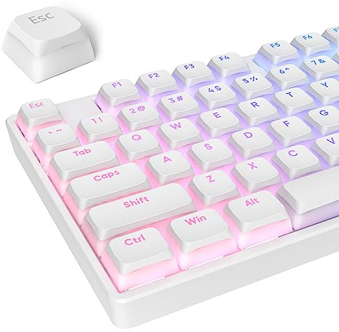 PBT Tangentkåpor, Pudding-tangentbordsset, 117 tangenter, dubbelgjuten, genomskinlig XDA-profil för ISO & ANSI-layout, 61/68/84/87/104 tangenters mekaniskt tangentbord, (svenskt layout inte garanterad