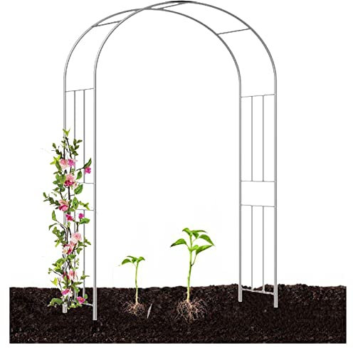 Arche de jardin en acier blanc de 240 cm - Grande arche de jardin pour plantes grimpantes - Décoration de mariage