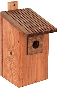 Nichoir à oiseaux en bois naturel, résistant aux intempéries, construction en bois massif
