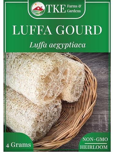 TKE Farms & Gardens - Luffa Gourd Seeds for Planting, 30+ Heirloom Non-GMO Loofah Seeds, Grow Natural Sponges or Harvest Edible Luffa Plant, Never Buy a Plastic Scrubber Again
