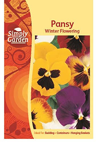 Simply Garden Pansy Winter Flowering Seeds Grow Your Own Flowers Multicoloured Bedding Plants