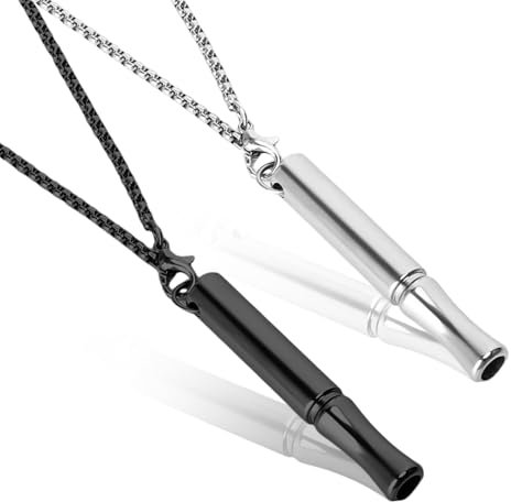 2Stks Tragbare Achtsame Halskette aus Titanstahl, Atemübungen Halskette aus Edelstahl, Halskette gegen Angst und Stress, Angstlinderung Anapana Atmung Halskette für Raucherentwöhnung Männer Frauen