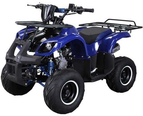 Actionbikes Motors Quad ATV S-8 Farmer 125 cc | 4-Takt 125ccm Motor bis 𝟓𝟎 km/h - Pocket Quad - Miniquad - Benzinquad - Benzin Quads - Fahrzeug für Jugendliche (Blau)