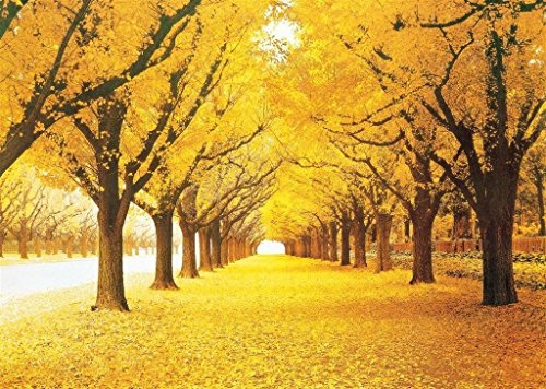 Queenie® Stained Art 1000 Piece Autumn Golden Yellow Forest Ginkgo Trees Fallen Leaves Fall Deciduous Landscape Adults Games Wooden Jigsaw Puzzles for Christmas Birthday Gifts