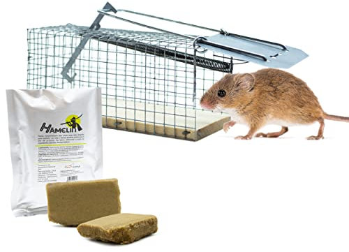 Trampa Ratones Vivos (sin Muerte) - Muy Segura y fácil de Utilizar - Incluye Hamelin, Atrayente Natural de Ratones y Ratas