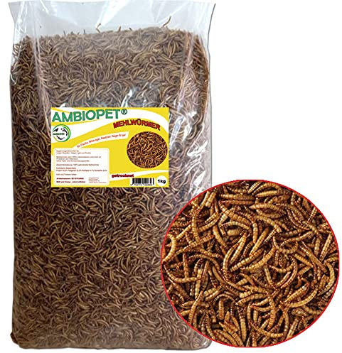 Naturprodukt Getrocknete Mehlwürmer 1kg - Futter für Vögel, Teichfische, Reptilien, Koi und Igel