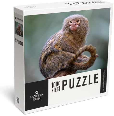 Lantern Press Pygmy Marmoset Monkey 1000 Piece Jigsaw Puzzle for Adults, Made in USA with Reference Poster