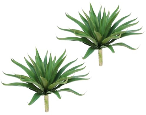 Velener Agave ondulata finta, confezione da 2