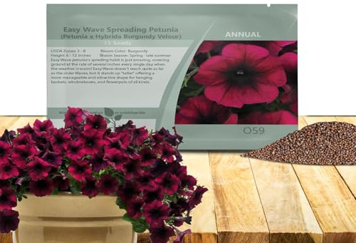 Outsidepride Burgundy Velour Easy Wave Petunia Seeds - 15 Pcs. Annual, Compact & Spreading Flower Seeds for Planting Low Growing Vibrant Blooms, Ideal for Garden Beds, Baskets & Container Displays