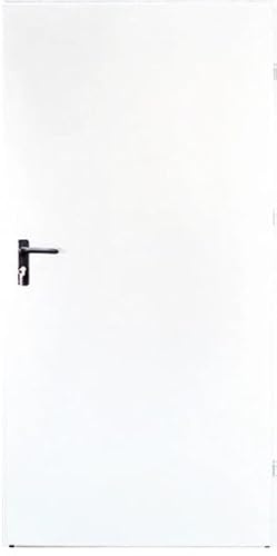 Stahl-Außentüren, Garagentür Mehrzwecktür Kellertür, Türen für Wirtschaftsräume (100-1090 x 2070 mm Rechts weiß RAL 9016)