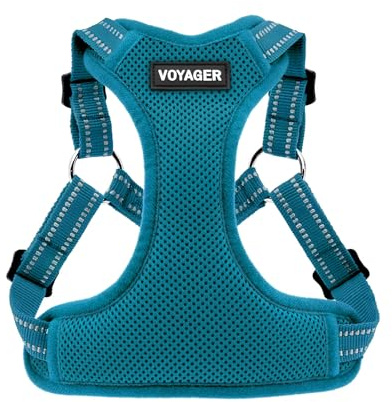 Voyager Verstellbares Hundegeschirr mit Reflektorstreifen by Best Pet Supplies - Strapazierfähige Ganzkörperweste ohne Zugkraft mit Leinen-D-Ring, atmungsaktiv, Türkis, size M