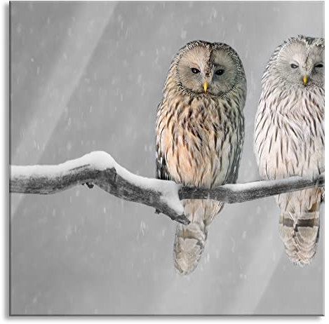 Pixxprint Glasbild, Wandbild auf Echtglas, Zwei Eulen in Winterlandschaft, 40x40 cm, inkl. Aufhängung und Abstandshalter