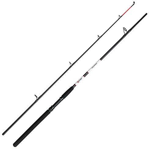 DAM Angelrute Meeresrute Bootsrute - Aqua-X Shad & pilk 2,40m 50-150g