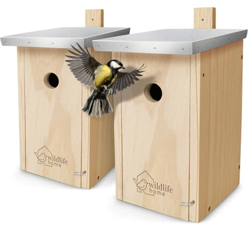 WILDLIFE HOME Nistkasten Meisen – 2er Set mit Metalldach für Kohlmeisen & Co. I nach NABU aus verschraubtem Massiv-Holz I Wetterfest & Unbehandelt I Vogelhaus zum Aufhängen, 2 Stück