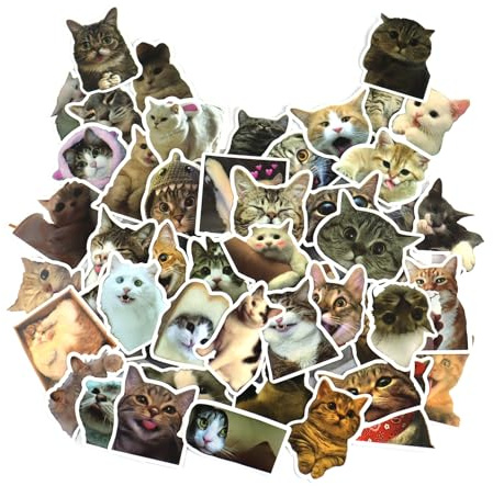 100 Stück Kätzchen meme sticker, Spaß sticker, geeignet für Autos, Computer, Skateboards, Fahrräder, Motorräder.