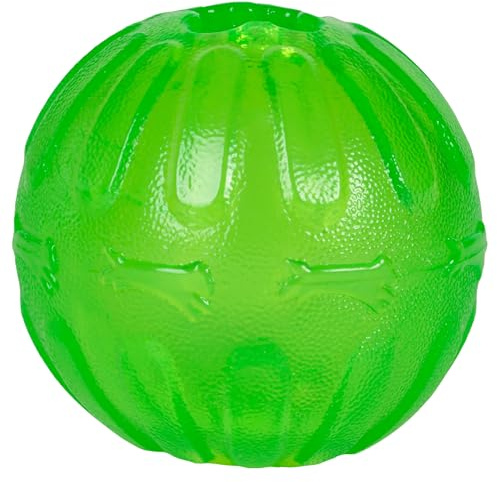 Schulze 74171 StarMark Everlasting Fun Ball